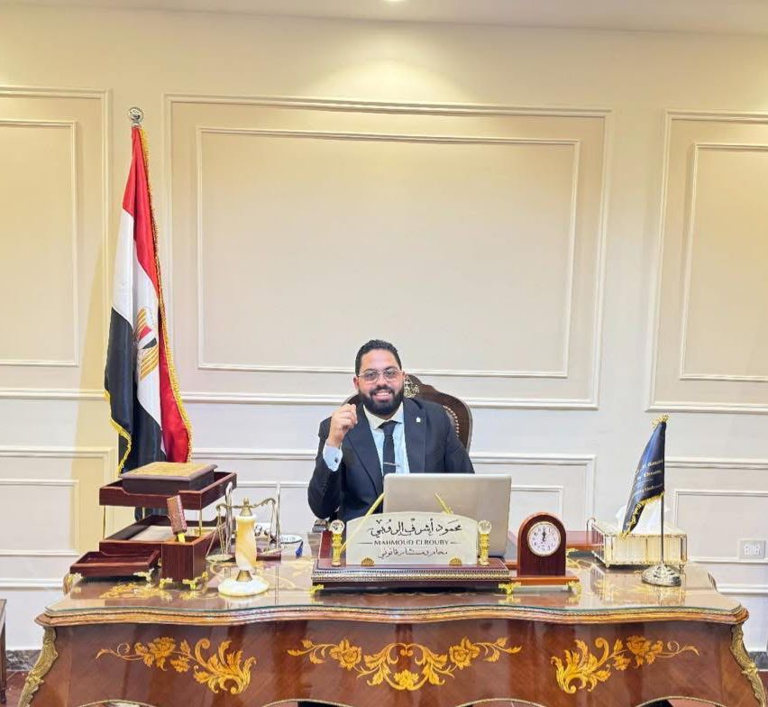 محمود اشرف الروبي